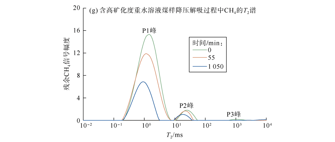 前沿應用|基于低場核磁技術的壓裂液礦化度對深部煤層氣解吸機理的研究